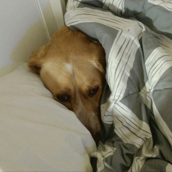 MEET YOUR POSHER - Picture 13 of 16